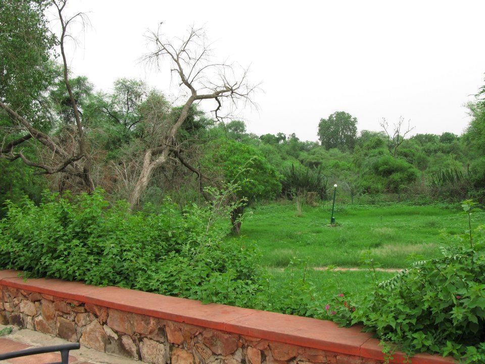 Hotel Bharatpur Ashok 外观 照片
